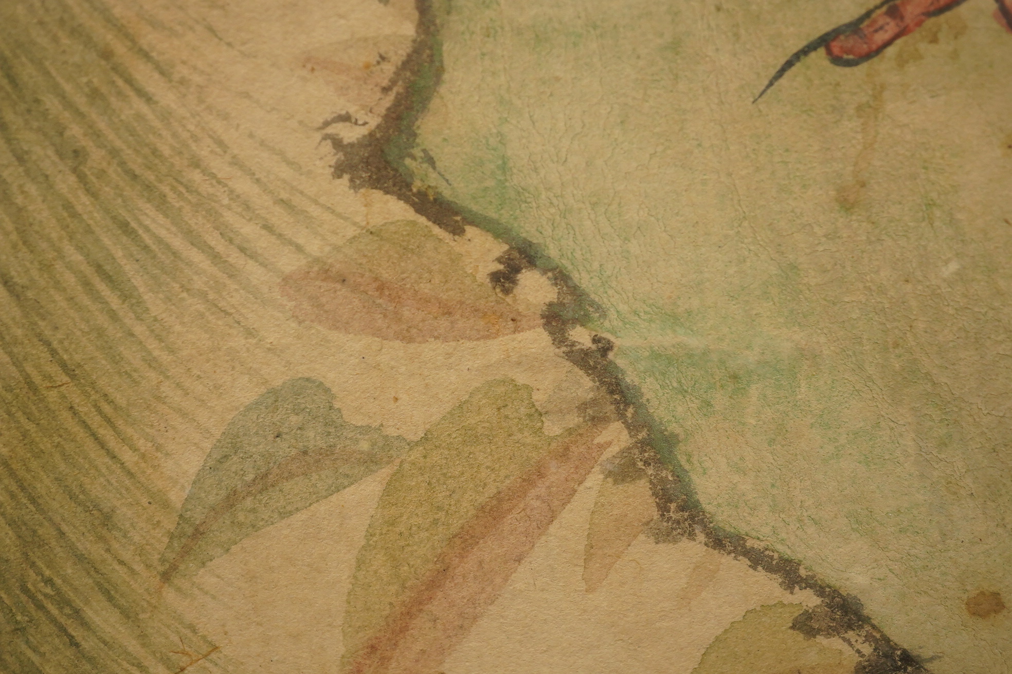 Chinese School , (18th/19th century), Phoenixes amid flowers, Ink and colour on paper; a pair
